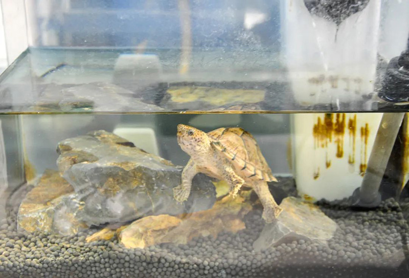 5b7854a636baa1e96349cf6b9ad07796.jpg image008.jpg